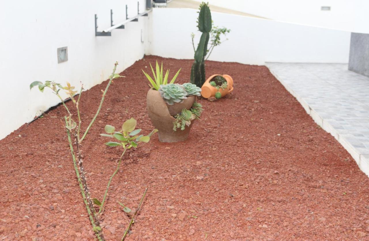 Casa Do Adro -Granel Vila Nordeste  Exterior foto